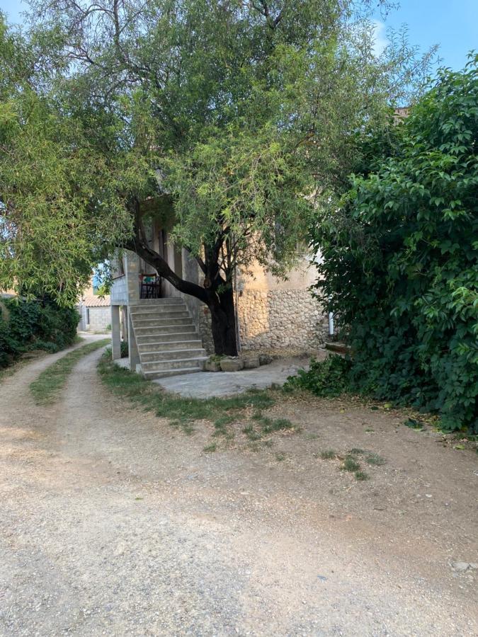 Maison A 20 Min Des Plages De Sainte Maxime Le Muy Eksteriør billede